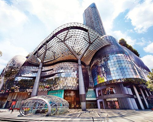 Ngee Ann City Civic Plaza  Things to do in Orchard, Singapore