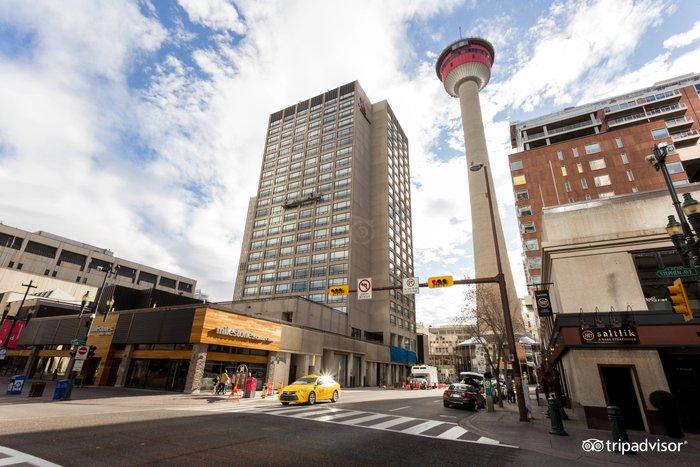 메리어트 캘거리 (Calgary Marriott Downtown Hotel) - 호텔 리뷰 & 가격 비교