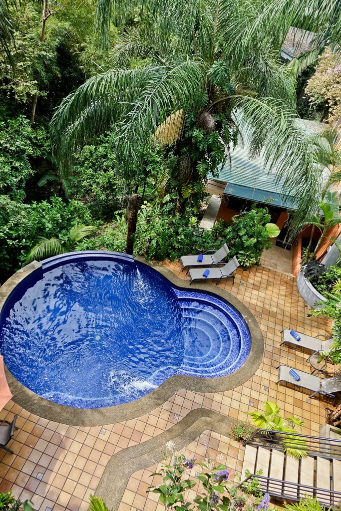 Jungle Vista Boutique Hotel Pool Pictures Reviews Tripadvisor