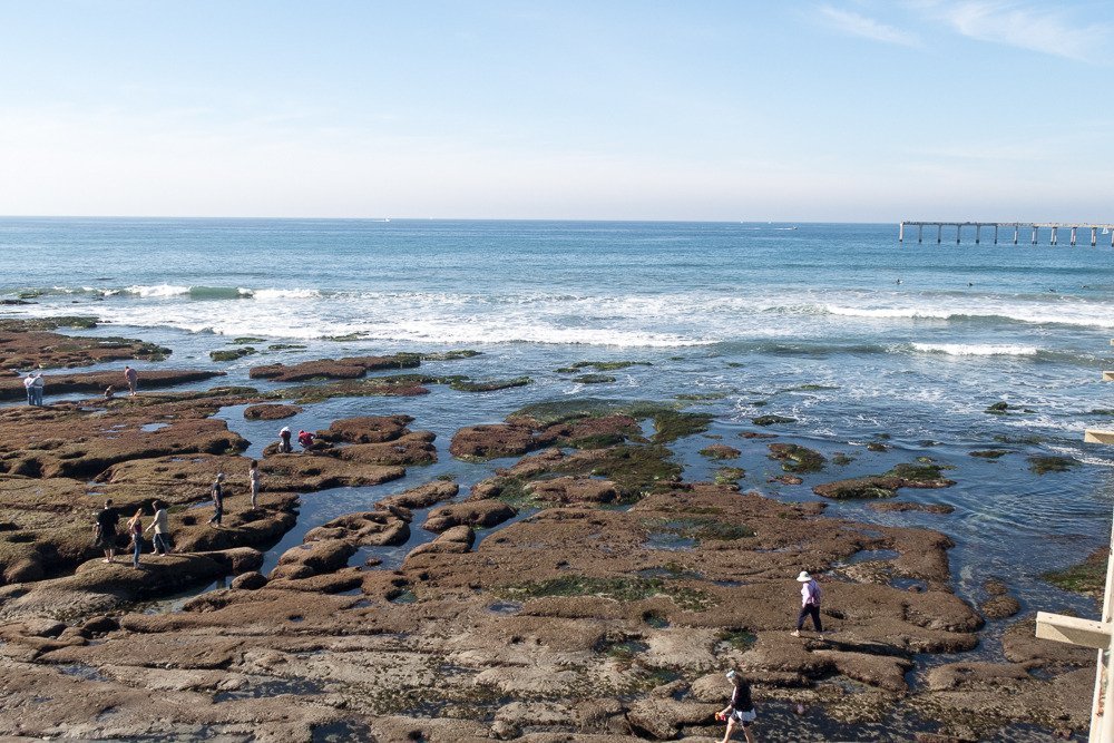 OCEAN BEACH (San Diego) - 2023 What to Know BEFORE You Go