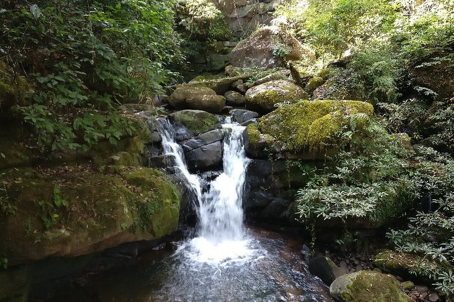 Sapan Waterfall image