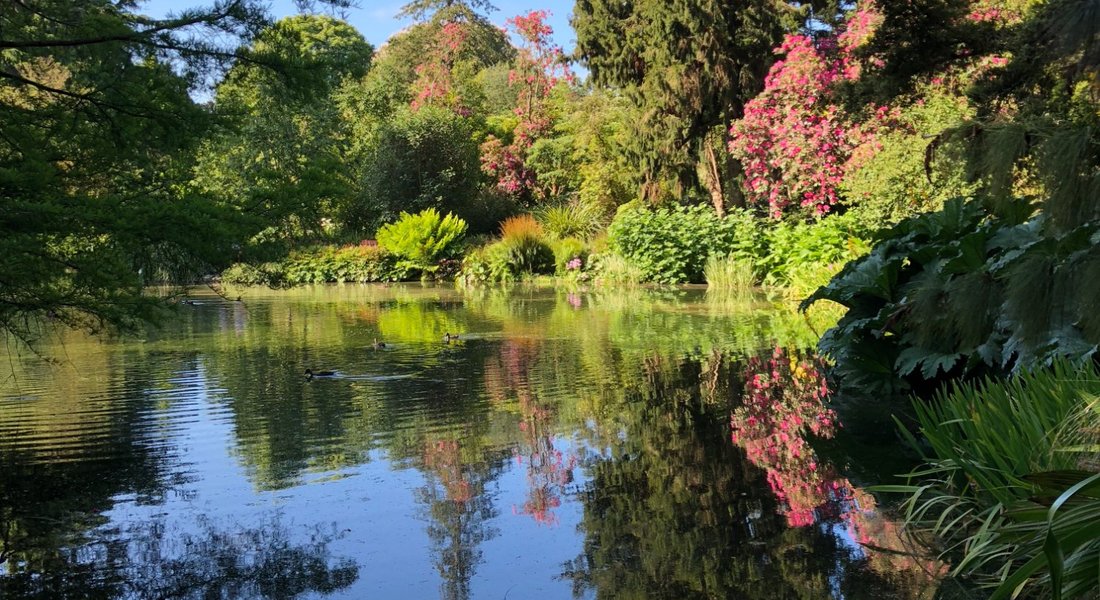Christchurch Botanic Gardens