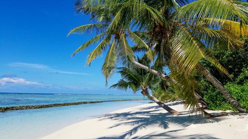 Nilandhoo 2021: Best Of Nilandhoo, Maldives Tourism - Tripadvisor