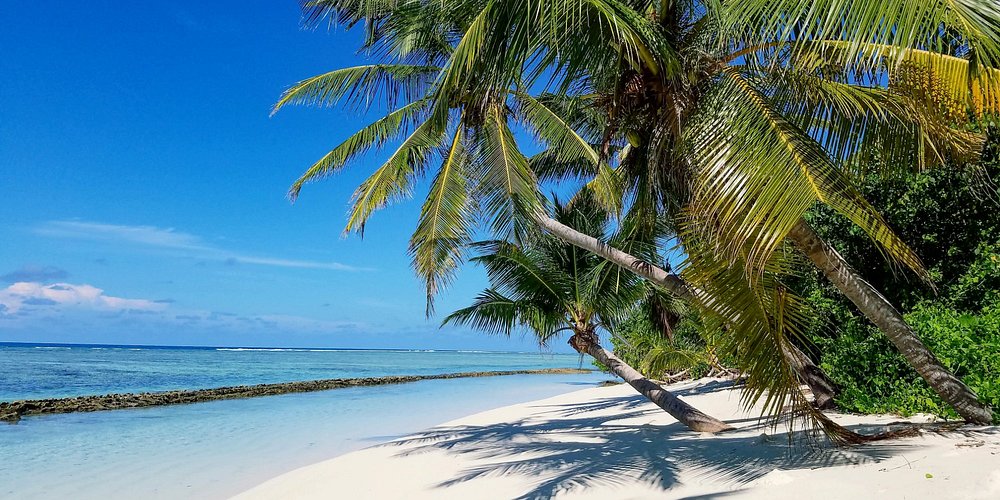 Nilandhoo, Maldives 2024: Best Places to Visit - Tripadvisor