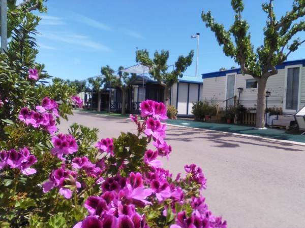 Imagen 23 de Camping y Bungalows Monmar