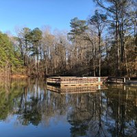 CLINTON NATURE PRESERVE (Villa Rica) - What to Know BEFORE You Go