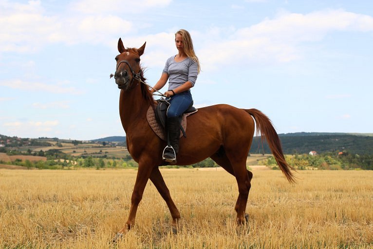 Equestrian Adventure Serbia image