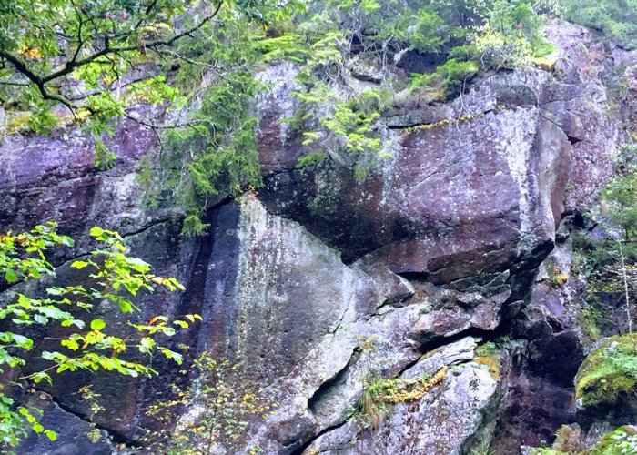 Spännande natur!