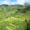 Things To Do in Lubo Rice Terraces, Restaurants in Lubo Rice Terraces