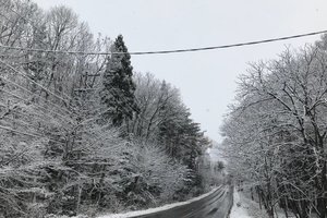客房及套房