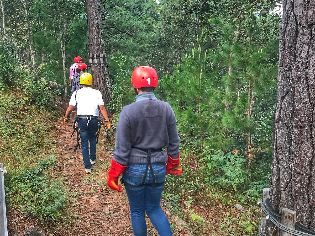 canopy tour la brellera