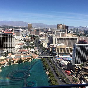 View of the pool - Premier Red Room - Picture of Paris Las Vegas, Paradise  - Tripadvisor