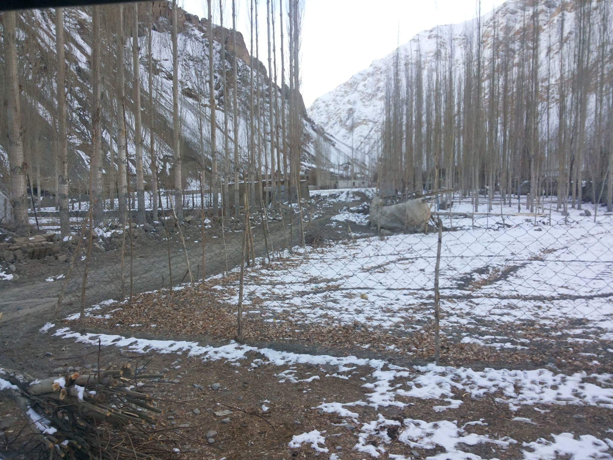 THE ROYAL KARGIL - Prices & Hotel Reviews (India)