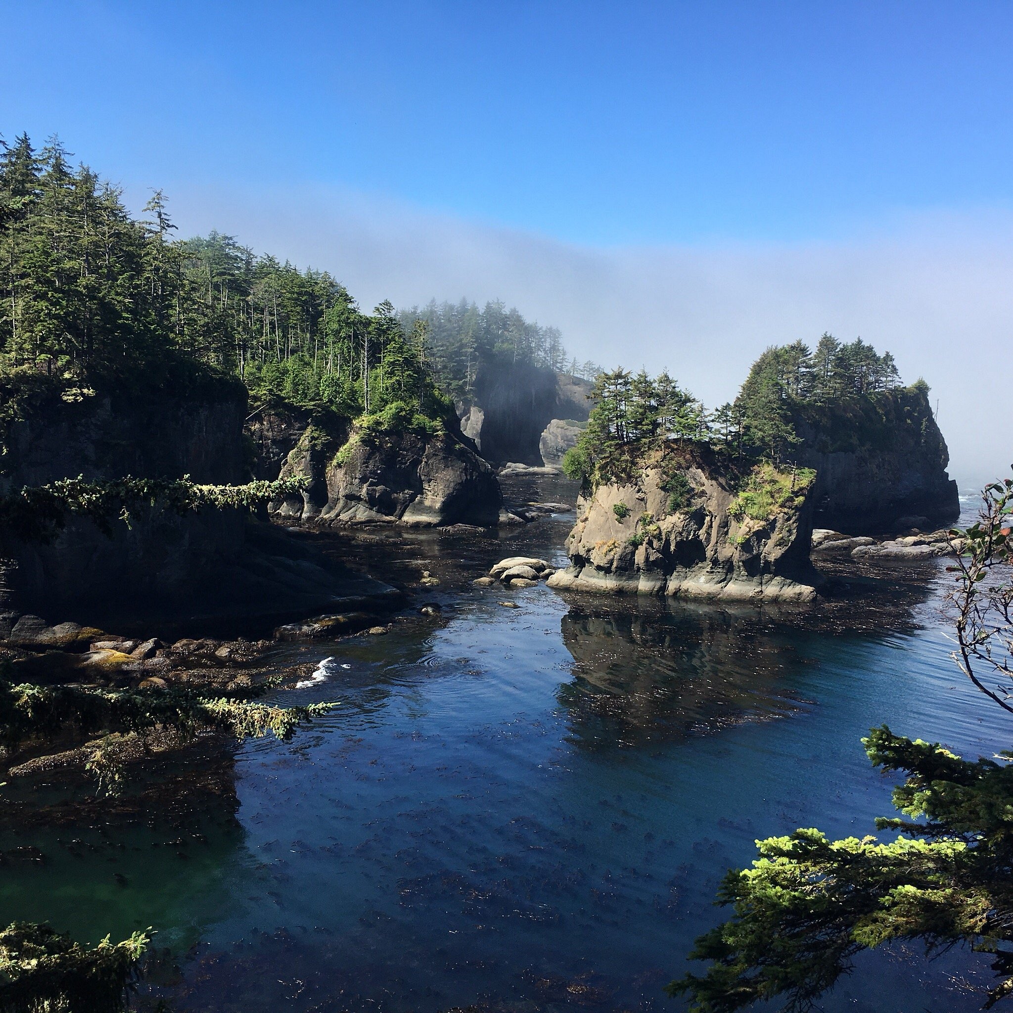 Cape Resort Neah Bay Wa