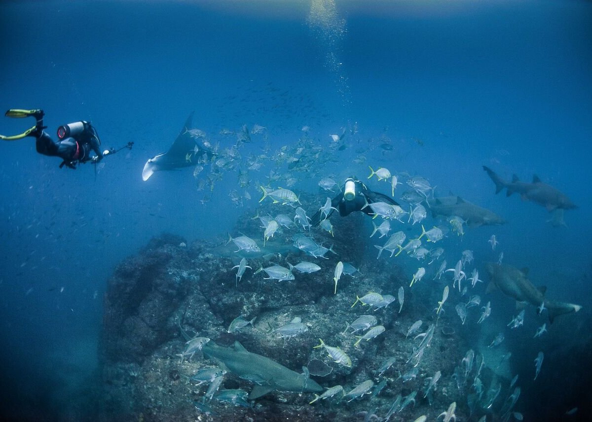 Wolf Rock Dive Centre (Rainbow Beach) - All You Need to Know BEFORE You Go