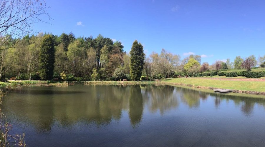 Lake view