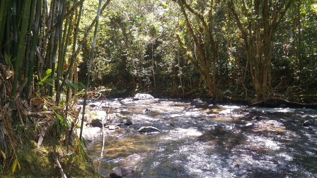 Antigamente em Blumenau: um recanto virtual para recontar a