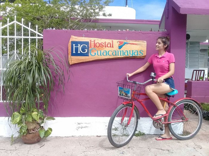 Hostal Las guacamayas Hostal Las guacamayas