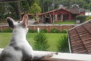 Quarto e suíte