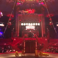 Cirque d'Hiver Bouglione (Paris) - All You Need to Know BEFORE You Go