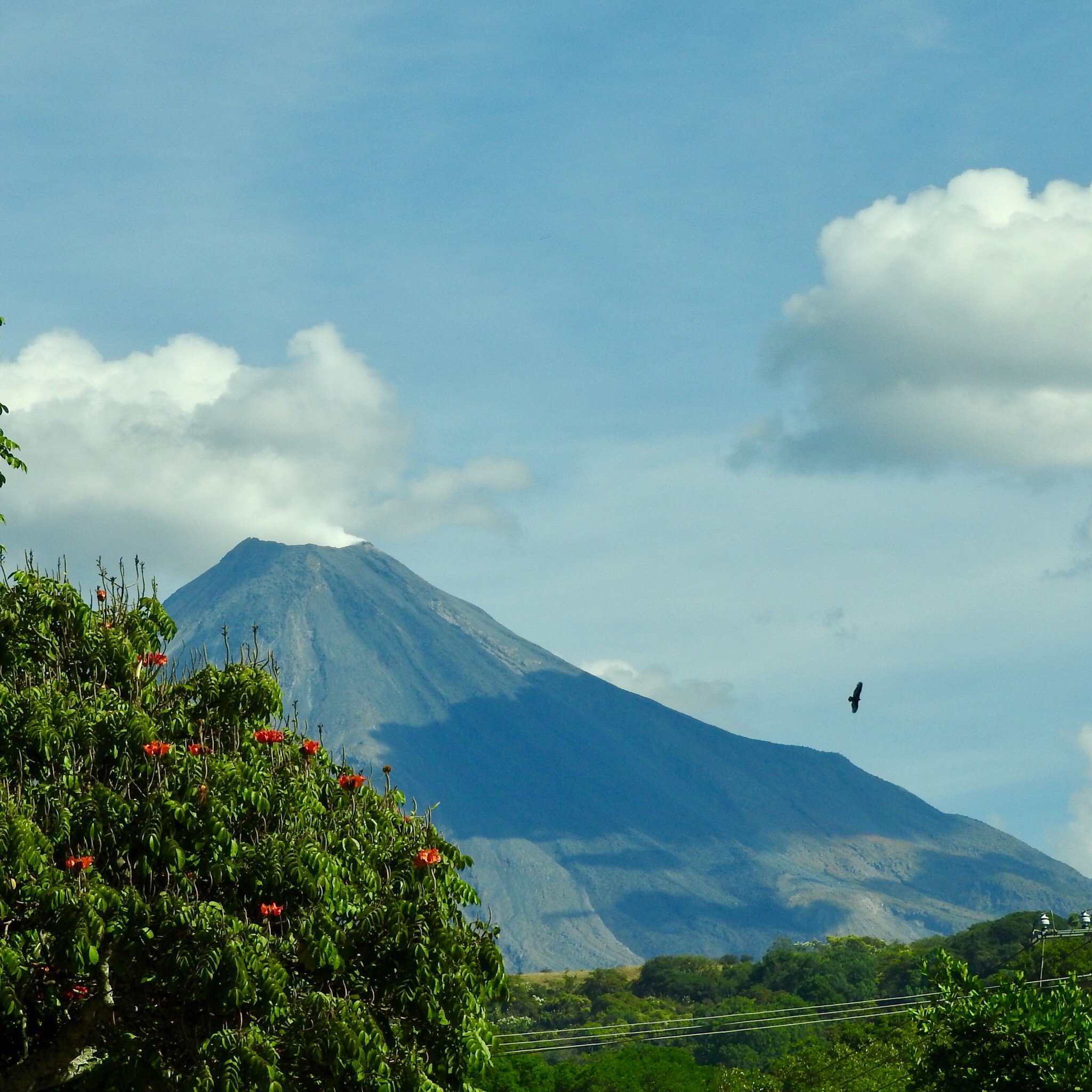 THE 10 BEST Things to Do in Colima Updated 2024 Tripadvisor