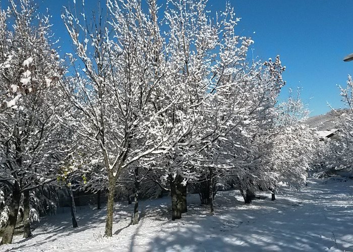 Parco innevato
