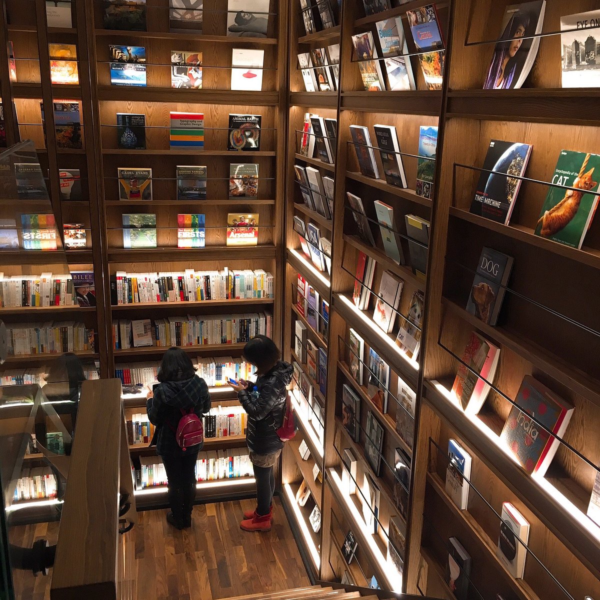 Tsutaya Bookstore - Songshan 2nd Branch - All You Need to Know BEFORE You  Go (2024)