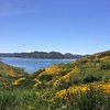 TravelsNSmiles