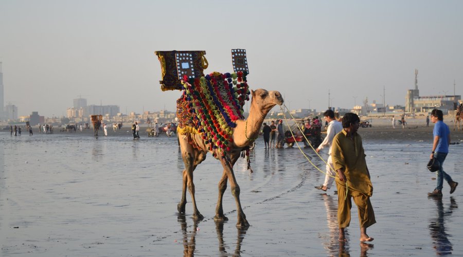 Camel riding at Clifton beach