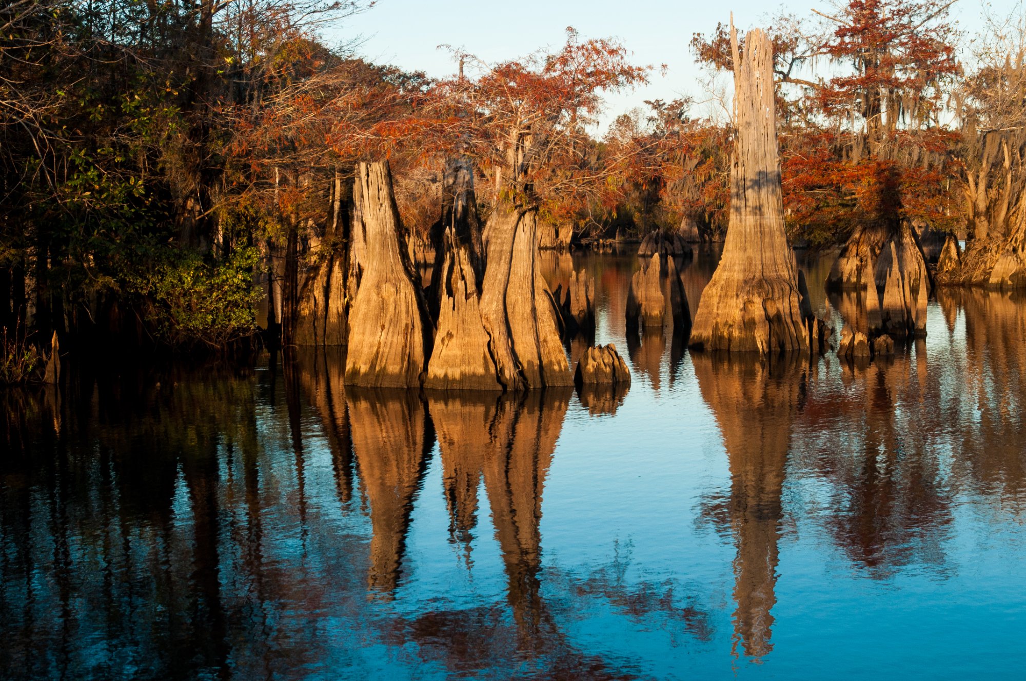 Dead Lakes Recreational Area (Wewahitchka) - All You Need to Know