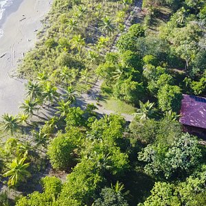 OCEAN FOREST ECOLODGE RETREAT CENTRE, COSTA RICA/DRAKE BAY: 250