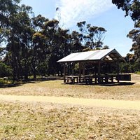 Taylor Park