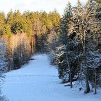 Nádherný park se zajímavými průhledy, vzácnými stromy