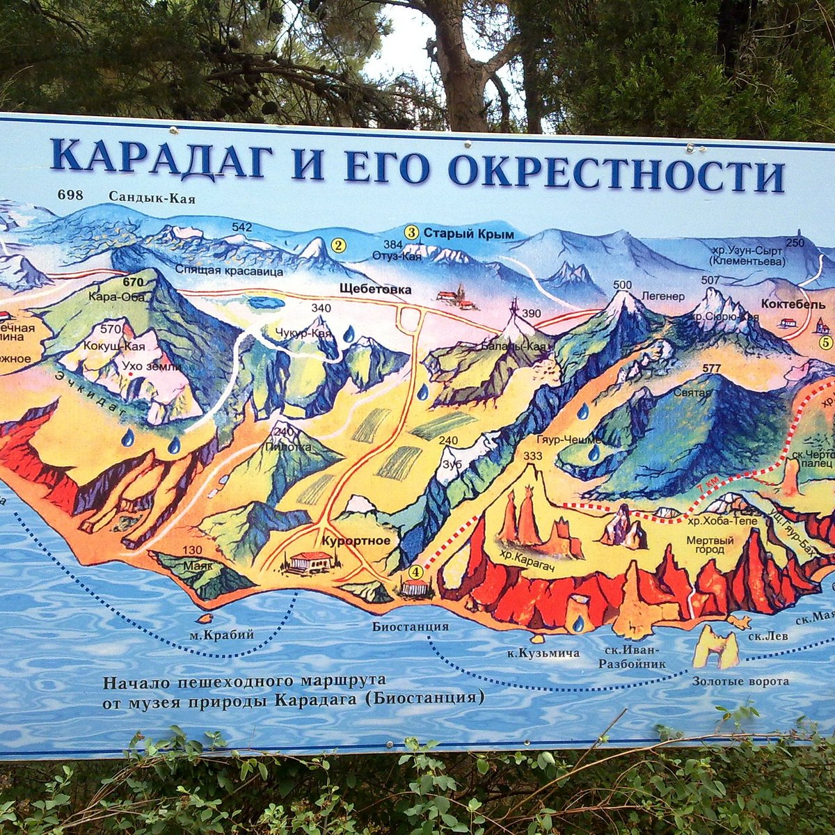 Музей Истории И Природы Карадага, Курортное: лучшие советы перед посещением  - Tripadvisor