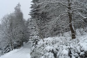 Zimmer und Suite