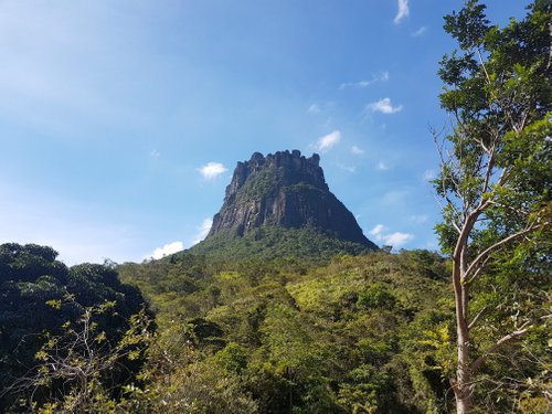 Help in the farm and nursery activities in Chapada Diamantina, Bahia