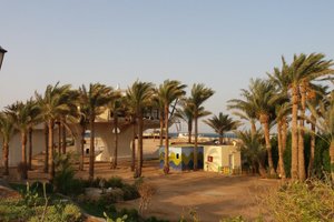 حمام السباحة والشاطئ