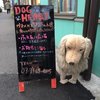 21年 Dog Heart From アクアマリン 行く前に 見どころをチェック トリップアドバイザー