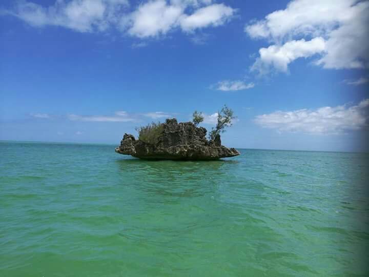 Sun Tropical Tours image