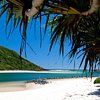 Things To Do in Tallebudgera Beach, Restaurants in Tallebudgera Beach