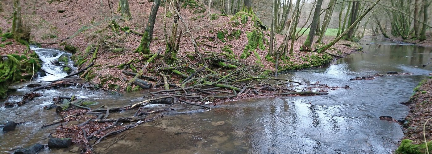 surrounding creeks