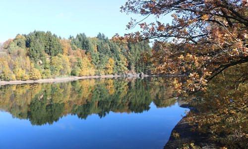 Robertville - Lac - 14/10/2017 (3)