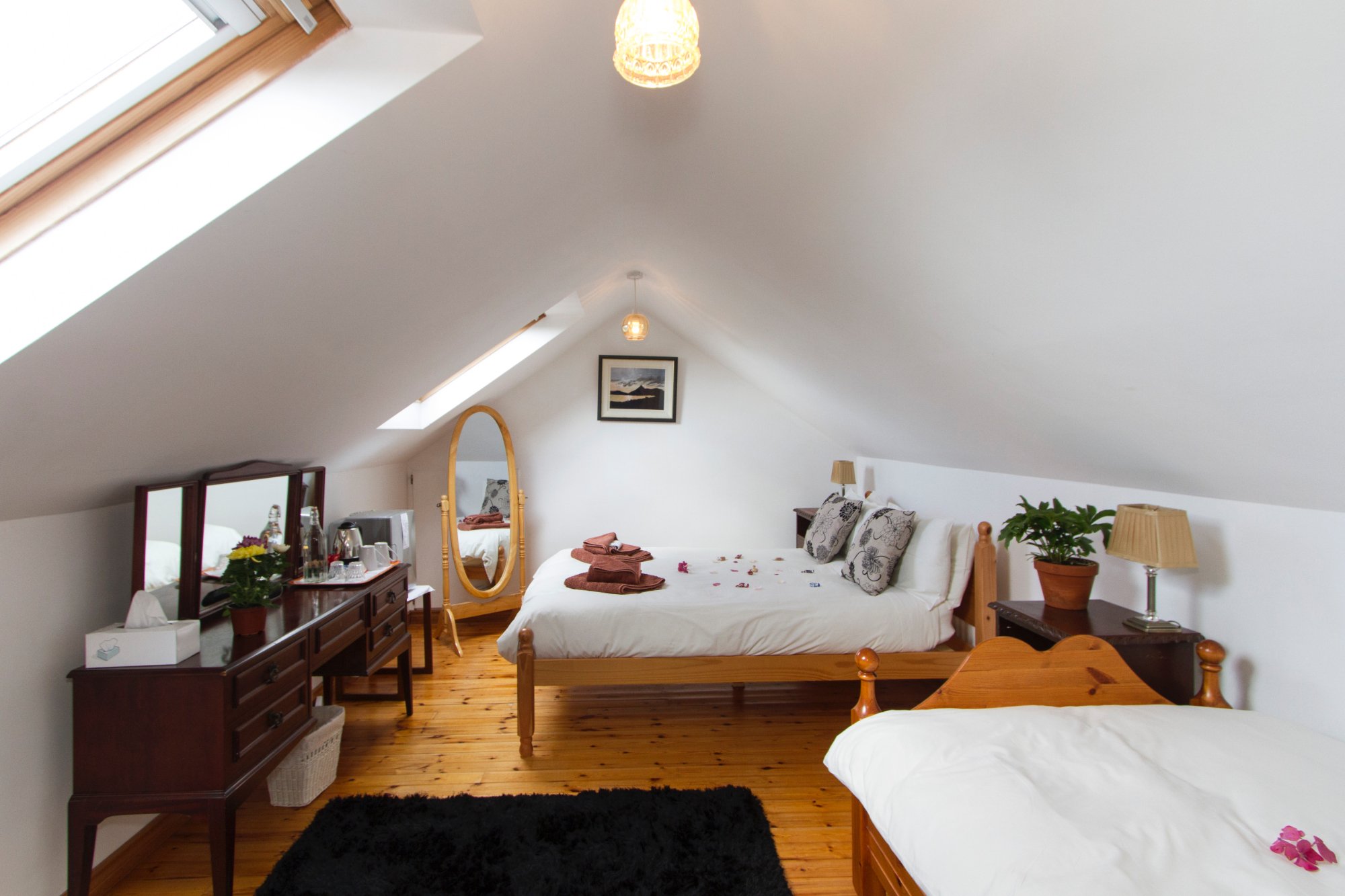 RISE & SHINE B & B - B&B Reviews (Westport, Ireland)