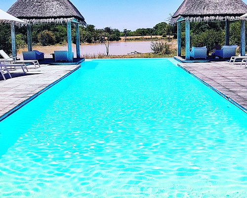 Pneu furado do jipe no meio da savana!!! - Picture of Kapama River Lodge,  Kapama Private Game Reserve - Tripadvisor