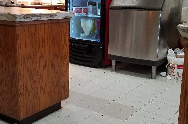 The Donut Corral