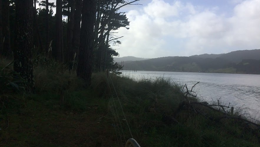 Looking out to the Waikato River