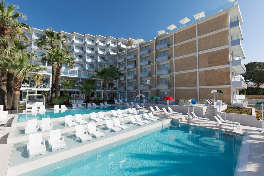 Een trouwe Of anders dauw Foto's en beoordelingen van het zwembad bij MSH Mallorca Senses Hotel,  Palmanova (Adults Only) - Tripadvisor