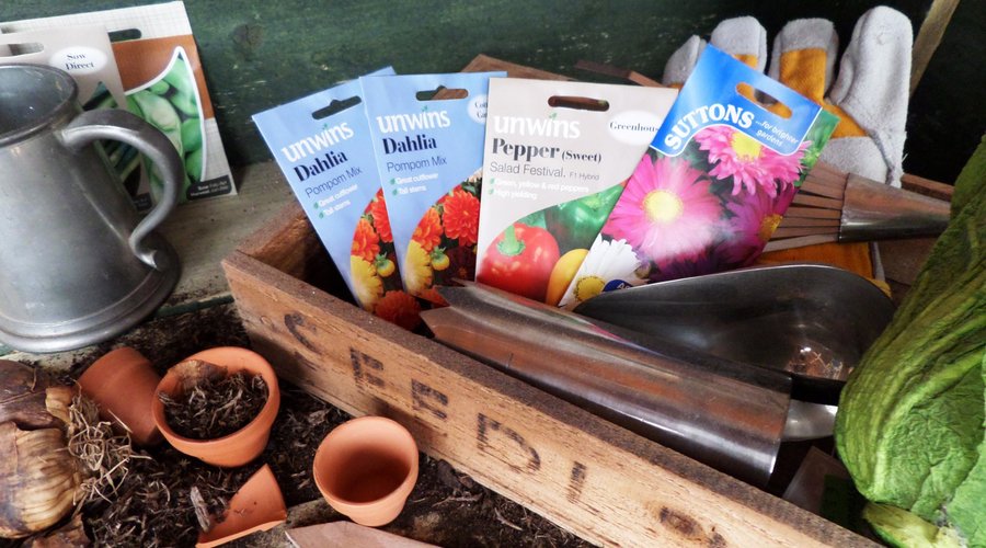 All you need to start from seed