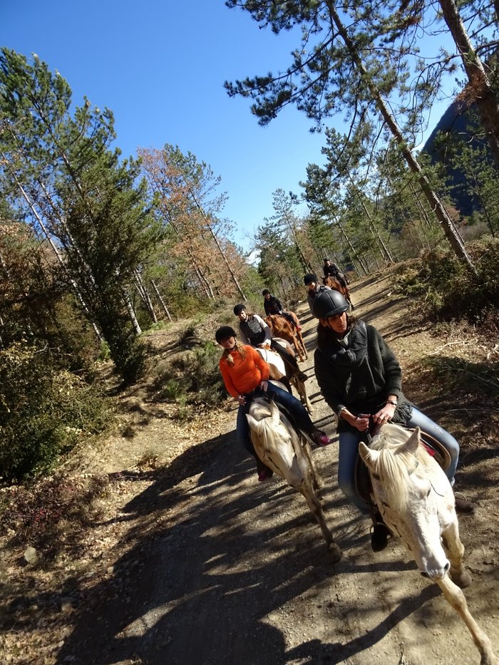 Imagen 6 de TRAC Terápies I Rutes Amb Cavall