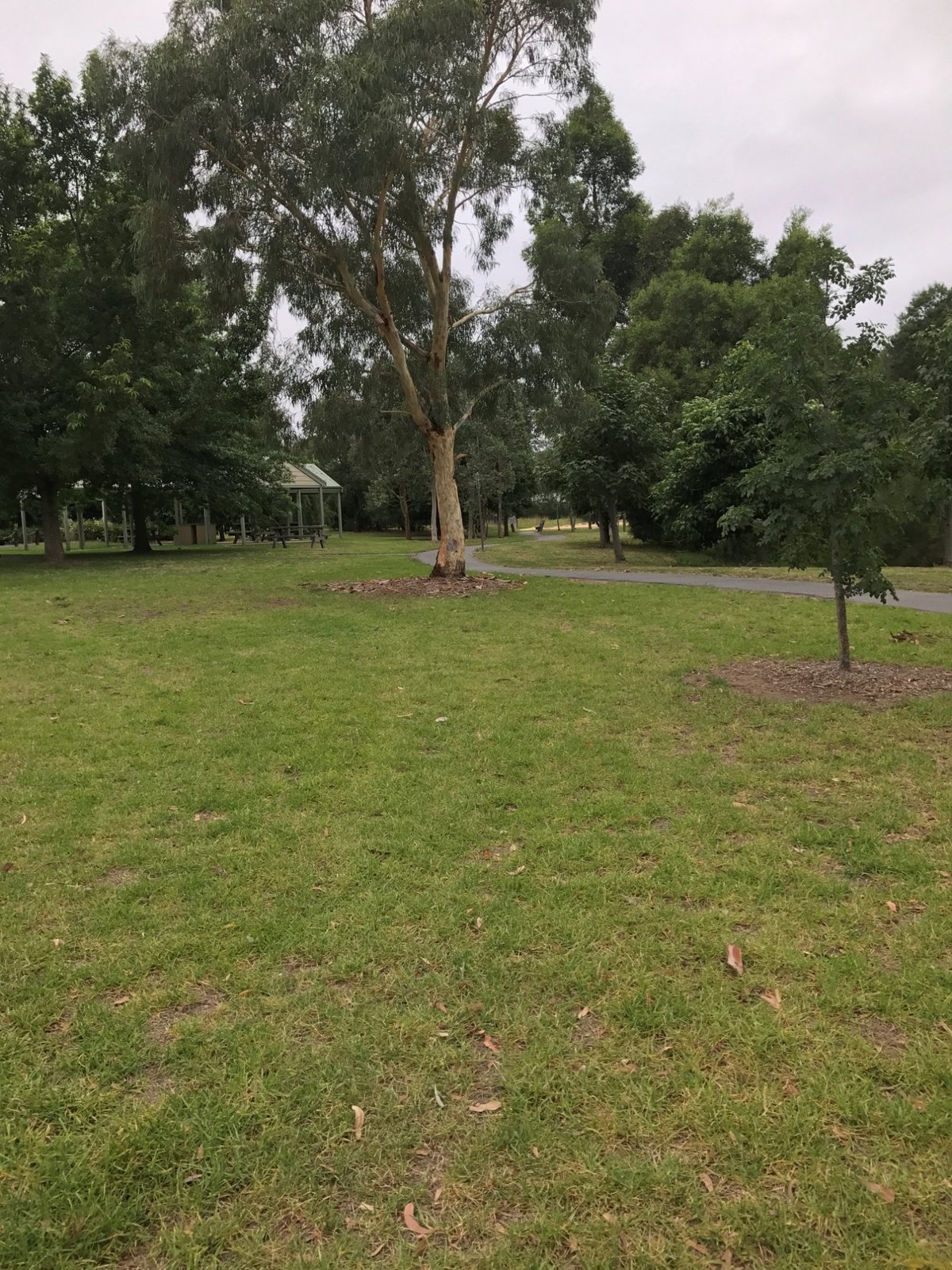 Apex Park, Attraction, High Country, Victoria, Australia